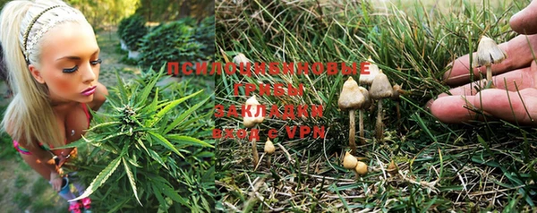 марки lsd Алексеевка